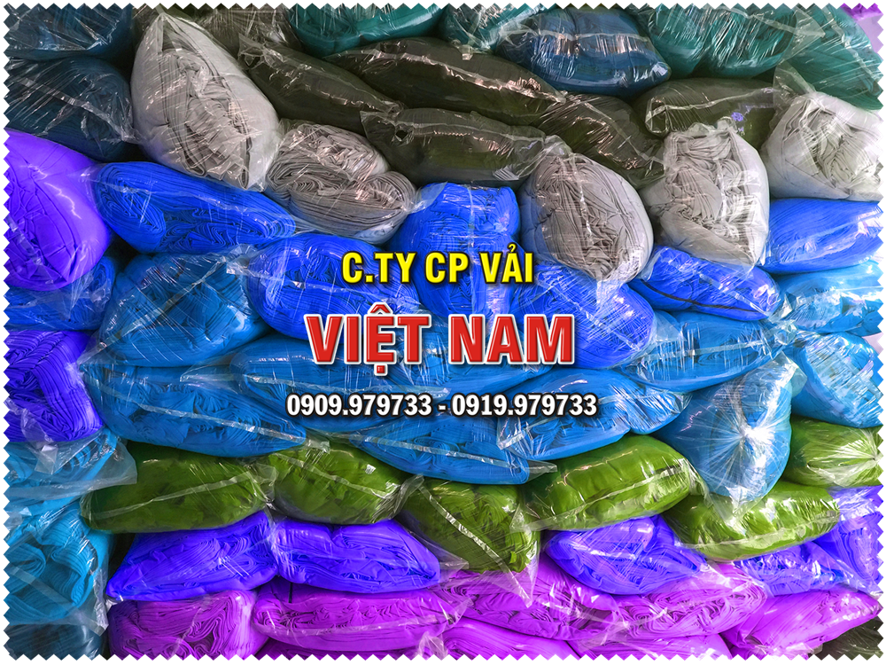 CTCP-VAI-VIET-NAM-1-17.png