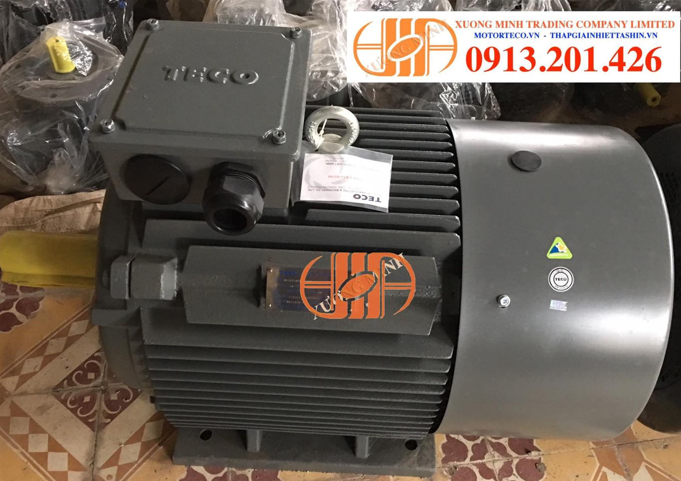 dong-co-dien-teco-60hp.jpg