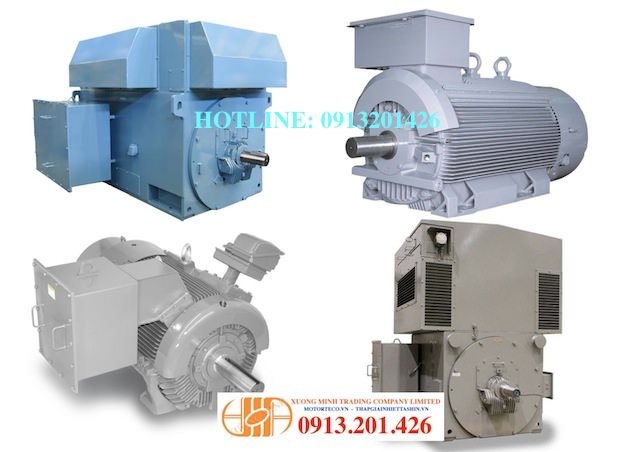 Dong-co-teco-20%20(1).jpg